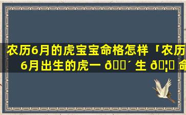 农历6月的虎宝宝命格怎样「农历6月出生的虎一 🐴 生 🦍 命运如何」